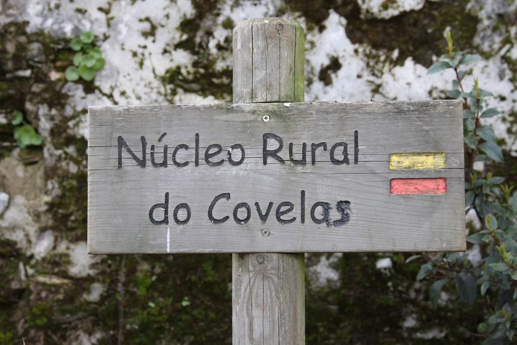 Alojamento Rural De Covelas Covelas  Dış mekan fotoğraf